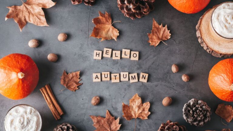 Cozy autumn flatlay with pumpkins, pinecones, cinnamon sticks, and fall leaves.