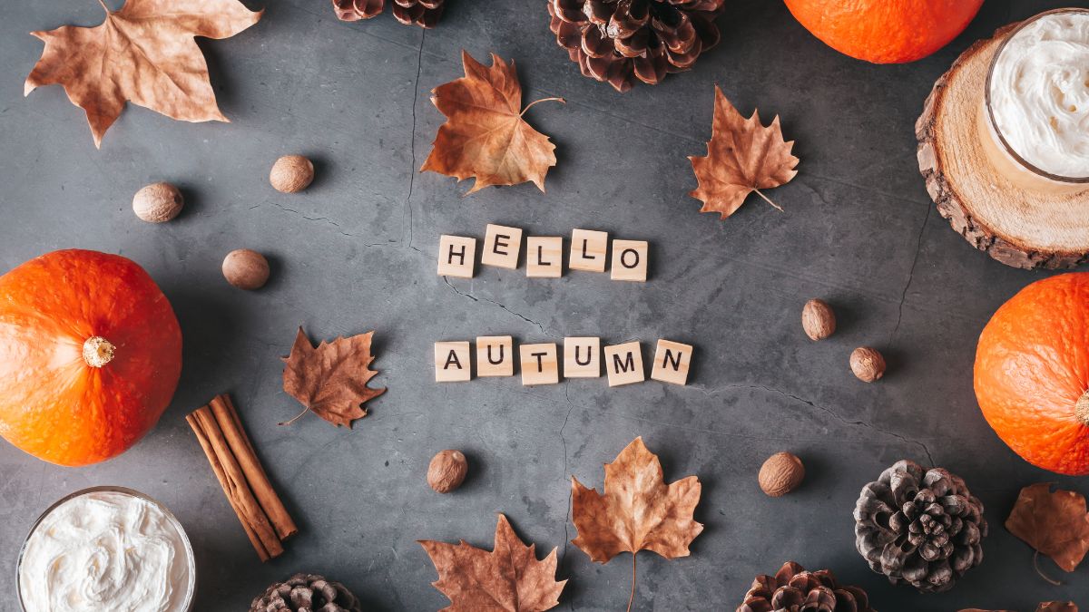 Cozy autumn flatlay with pumpkins, pinecones, cinnamon sticks, and fall leaves.