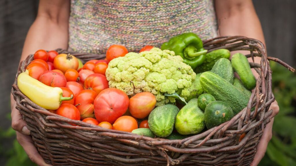 Alt text: Basket of fresh seasonal vegetables including cucumbers, tomatoes, and cauliflower.