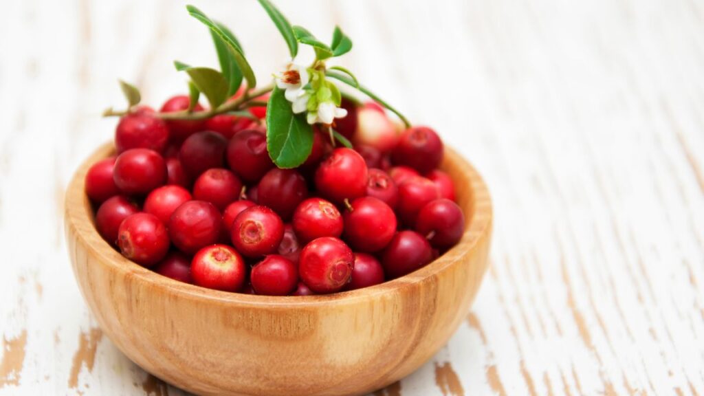 Fresh cranberries in a wooden bowl with green leaves on top.