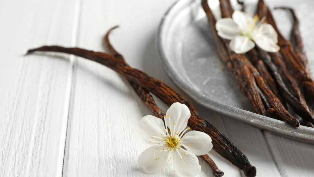 Whole vanilla beans on silver plate with small white flower.
