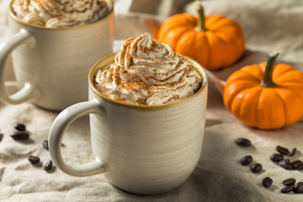 Pumpkin spice hot cocoa with whipped cream swirl and mini pumpkins.