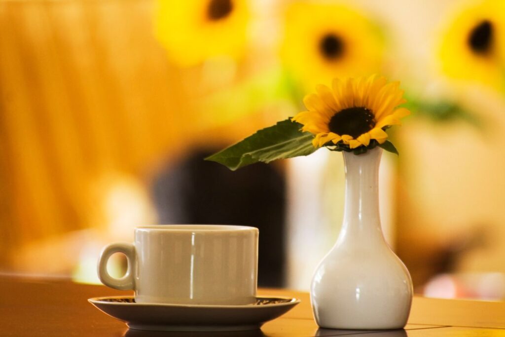 Morning coffee cup with sunflower in white vase for cozy sunflower ritual.