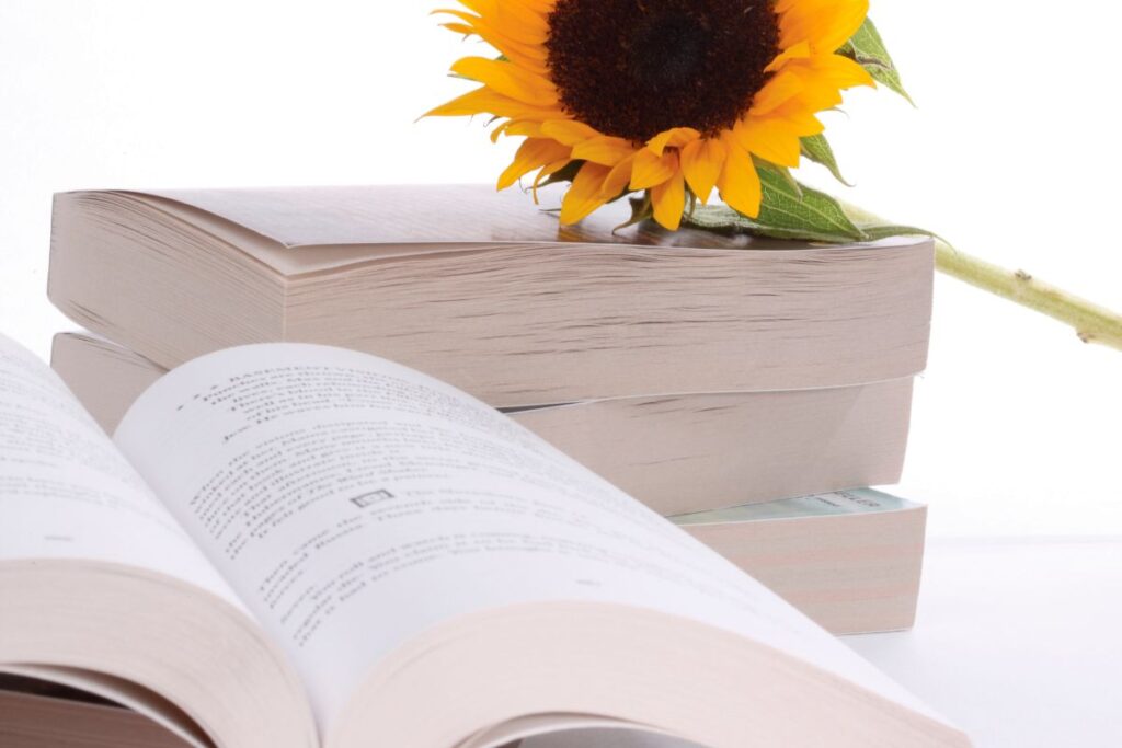 Open book with sunflower resting on pages, cozy reading with flowers.