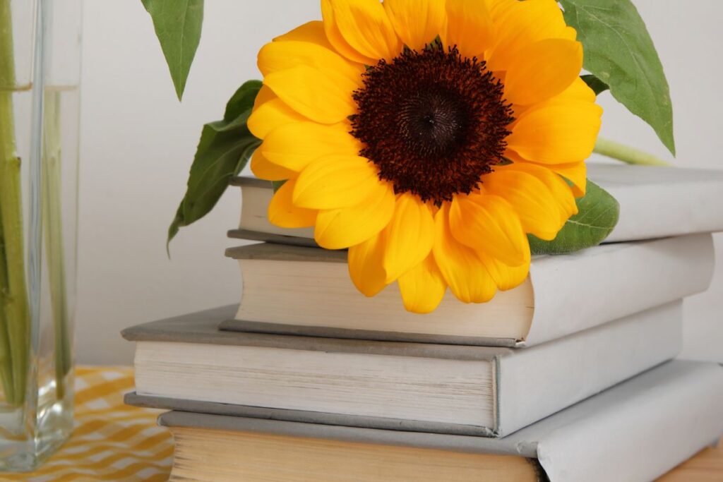 Bright yellow sunflower on a stack of books for cozy sunflower décor.