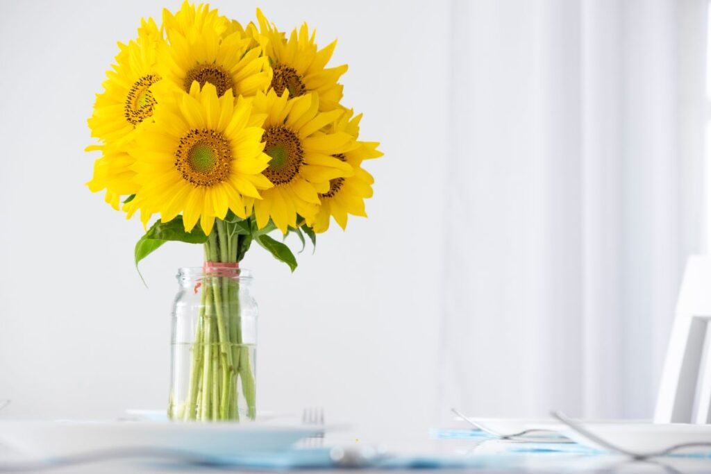 Fresh bouquet of sunflowers in a clear glass vase on a white table with natural light.