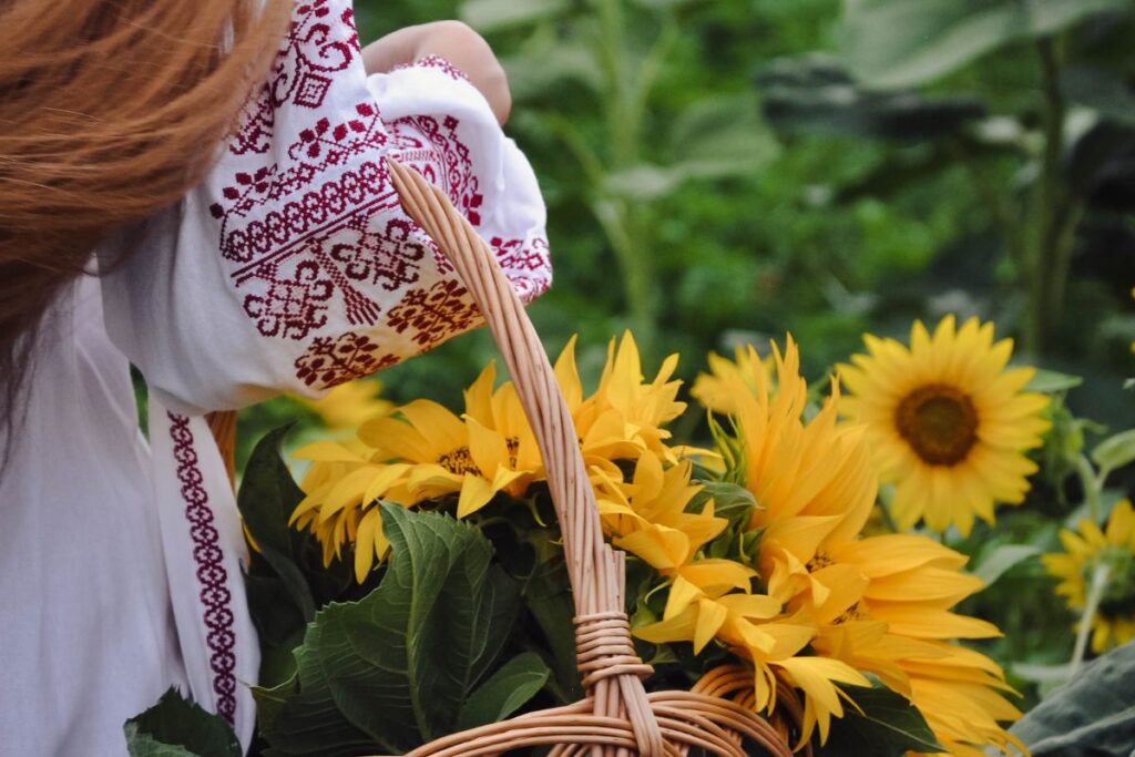 Lady with a flower basket in sunflower garden.