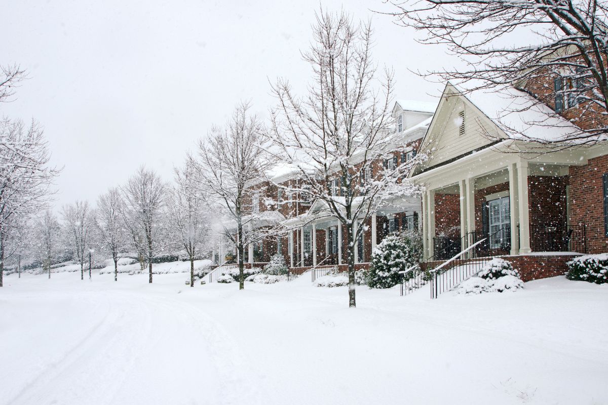 Snow-covered neighborhood street lined with bare winter trees and brick homes.
