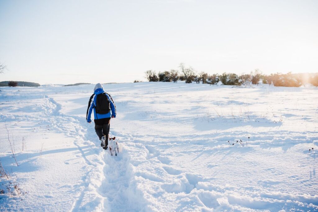 Person in blue jacket walking dog through wide open snowy landscape.