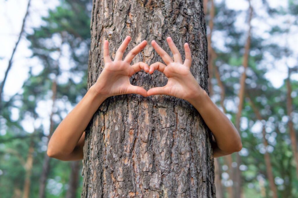 Hands forming a heart shape around a tree trunk, showing love and connection with nature.
