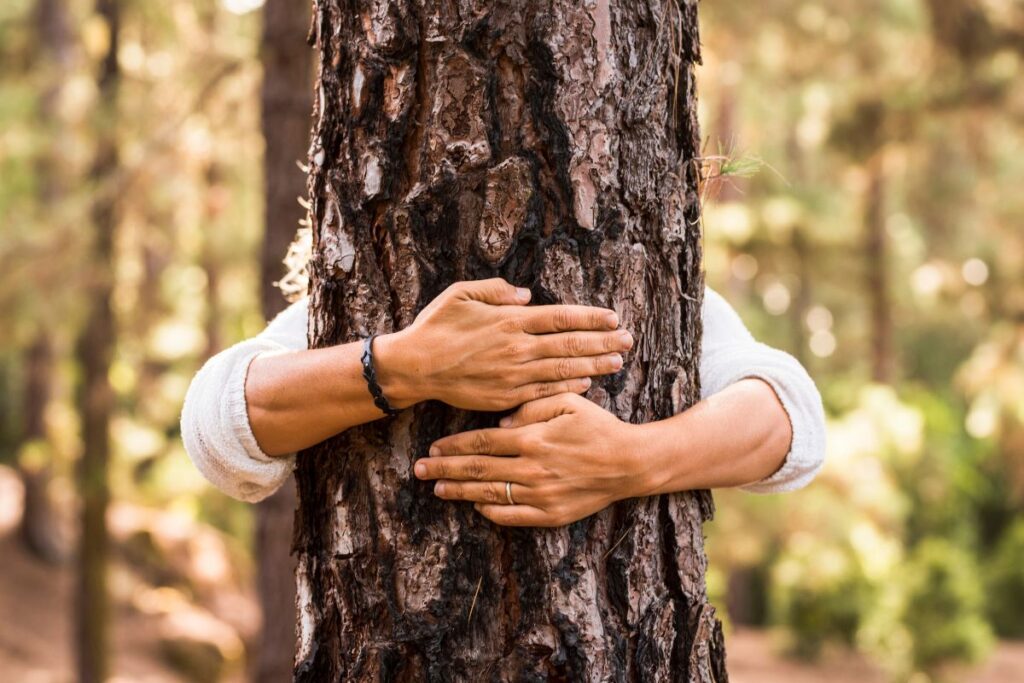 Adult arms wrapped around a tree trunk, representing grounding and stillness.
