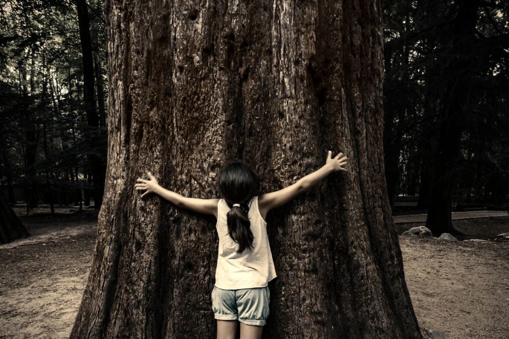Child hugging a large ancient tree, evoking childhood memories and connection to nature.