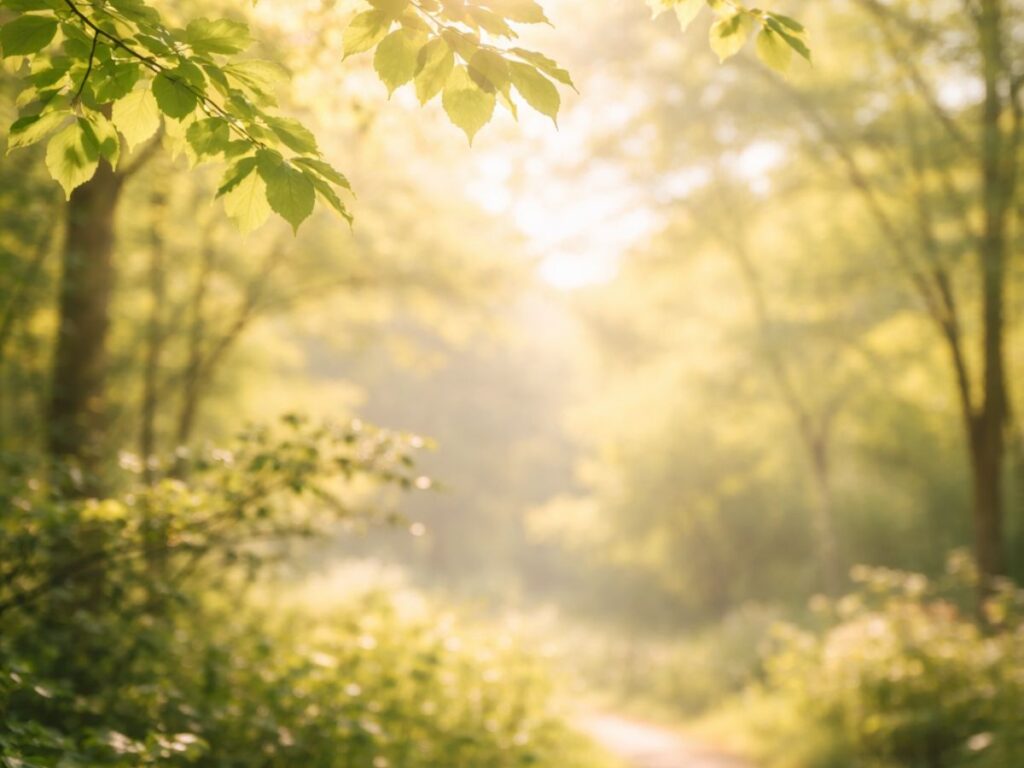Sunlit forest path winding through lush green trees, with soft golden morning light filtering through leaves and creating a calm, peaceful, reflective atmosphere.
