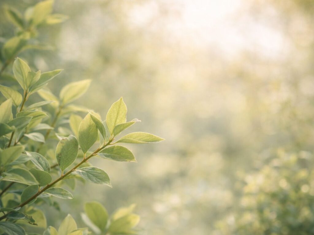 Soft green leaves in warm sunlight with a blurred, peaceful garden background.