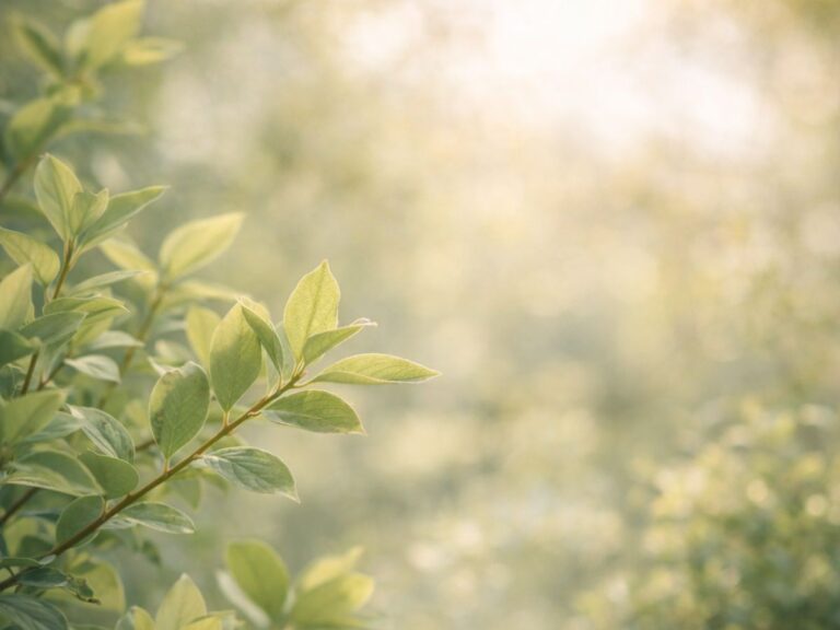 Soft green leaves in warm sunlight with a blurred, peaceful garden background.